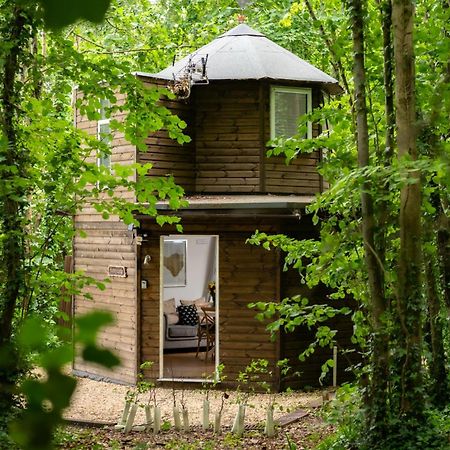 Honeycombe - Treehouse In The Heart Of Dorset Villa แบลนด์ฟอร์ดฟอรัม ภายนอก รูปภาพ