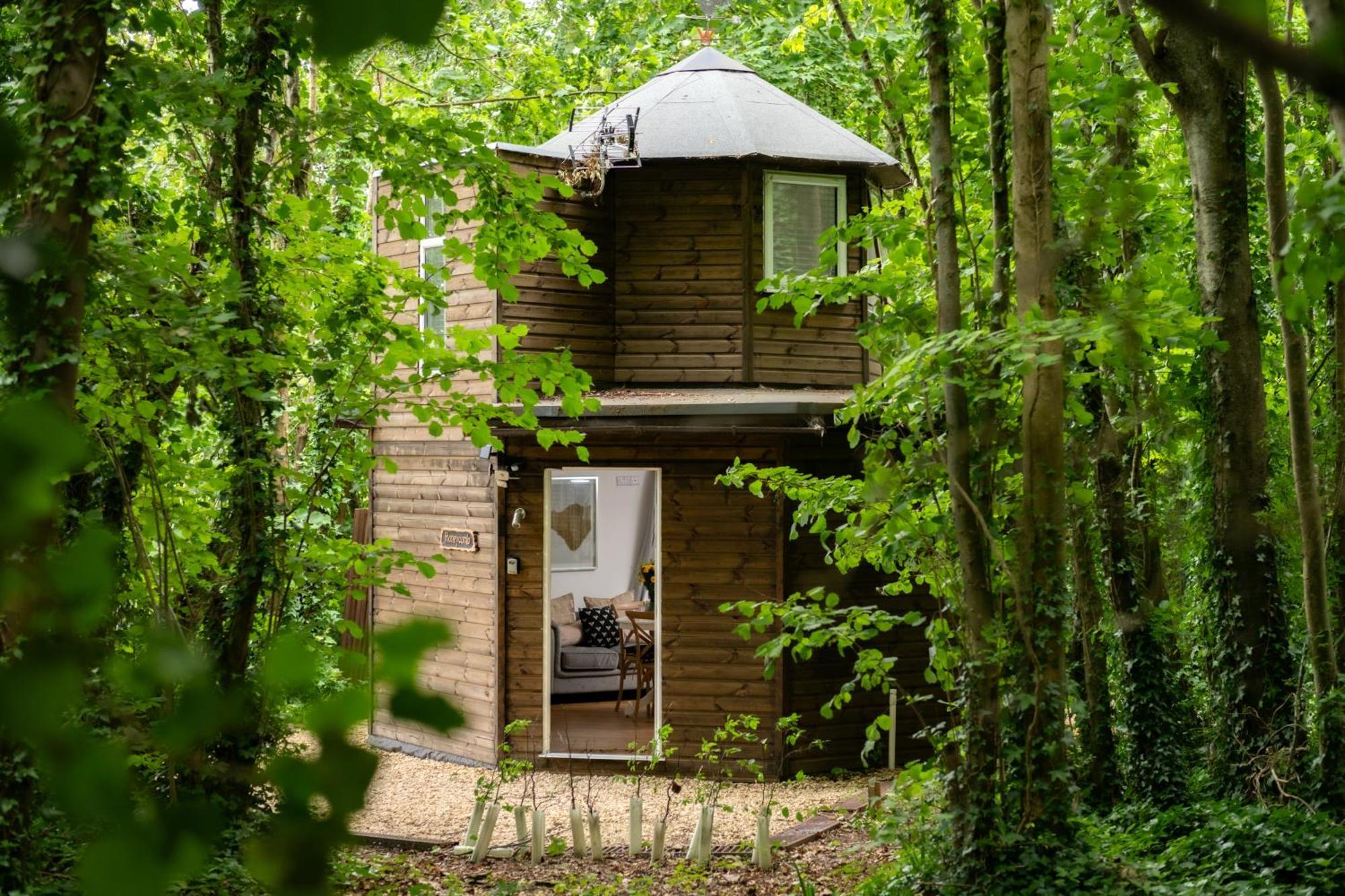 Honeycombe - Treehouse In The Heart Of Dorset Villa แบลนด์ฟอร์ดฟอรัม ภายนอก รูปภาพ