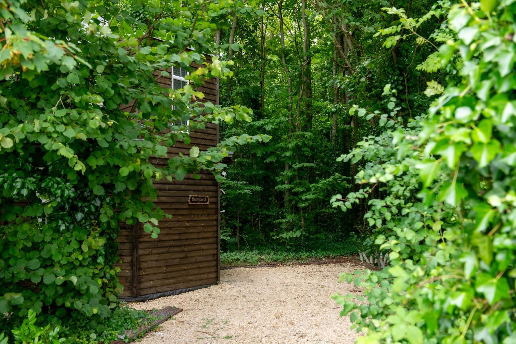 Honeycombe - Treehouse In The Heart Of Dorset Villa แบลนด์ฟอร์ดฟอรัม ภายนอก รูปภาพ