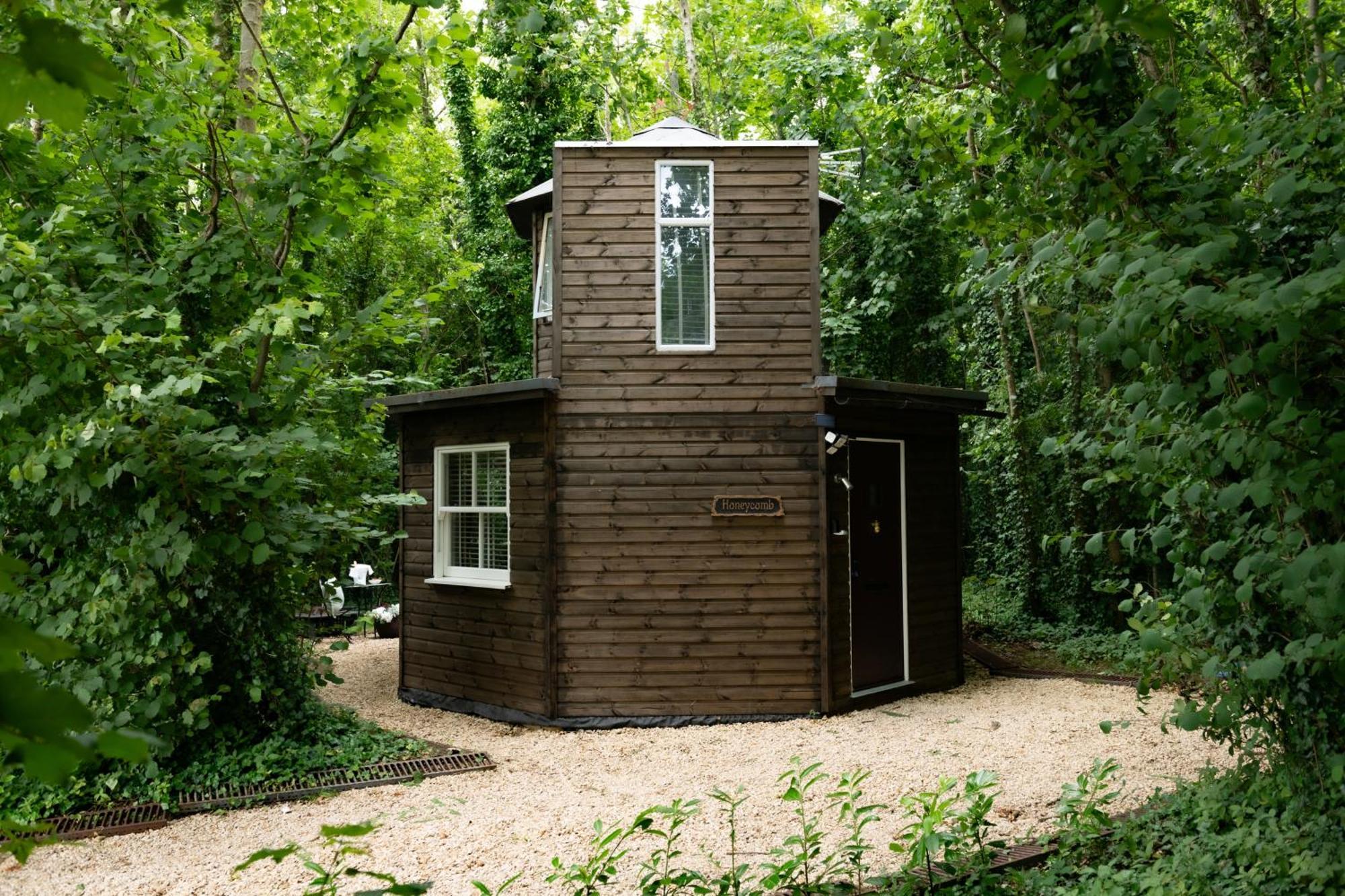Honeycombe - Treehouse In The Heart Of Dorset Villa แบลนด์ฟอร์ดฟอรัม ภายนอก รูปภาพ